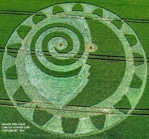 Crop Circle nei campi del Wiltshire