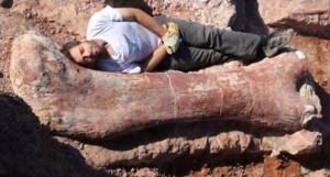 Il dinosauro più grande mai scoperto