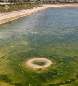 Utah, misterioso cratere sul lago