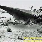 Roswell-UFO-crash