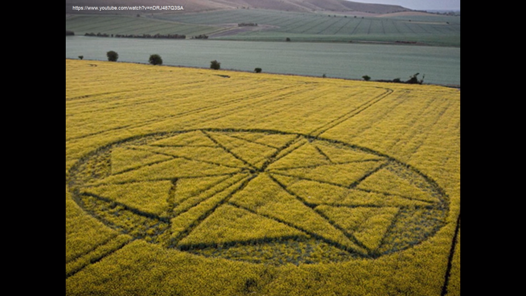 CERCHIO NEL GRANO REGNO UNITO, WILTSHIRE, ALTON BARNES, 10.05.2021 (2)